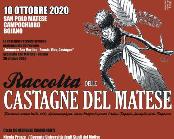 Locandina Raccolta delle castagne del Matese