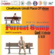 Forrest Gump al Cineforum