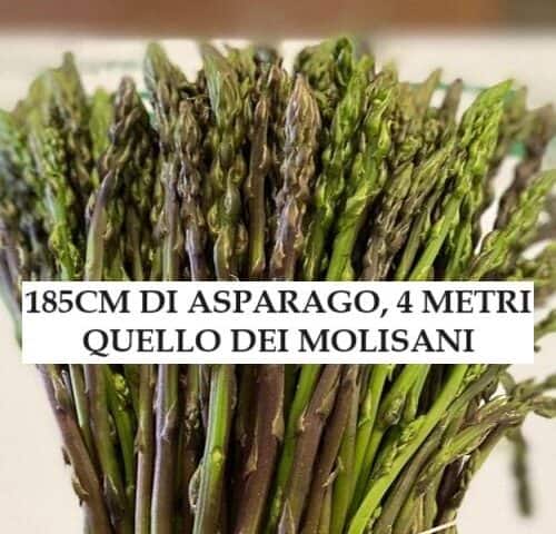 185cm di asparago, 4 metri quello dei molisani